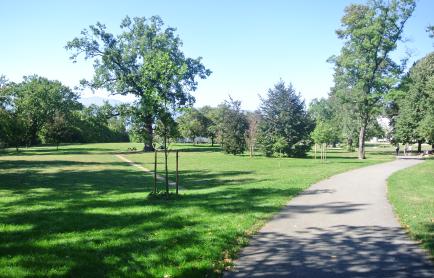 parc_sarasin.jpg